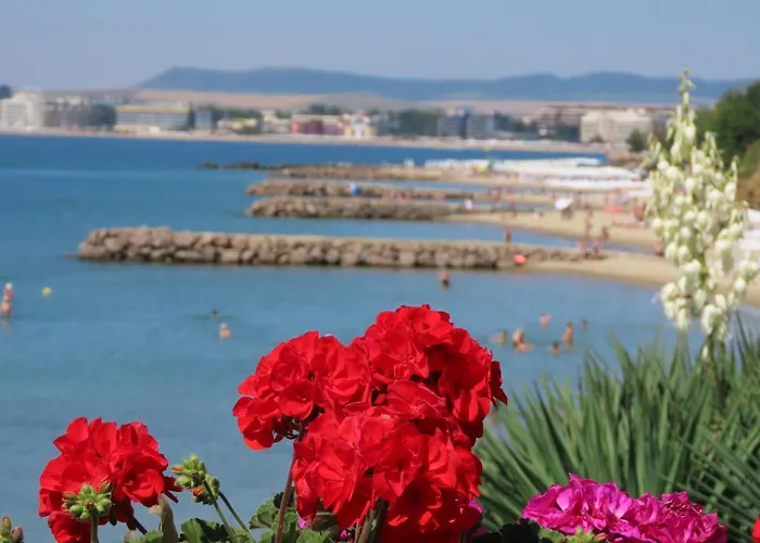 Polarstar Verona Apartman